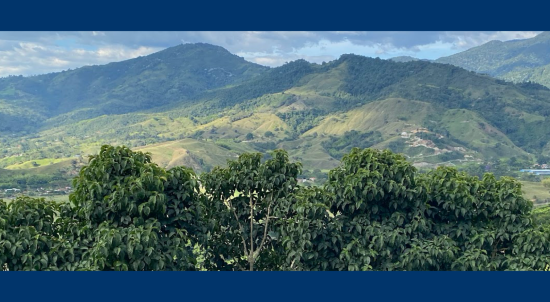 tropical forest and mountain