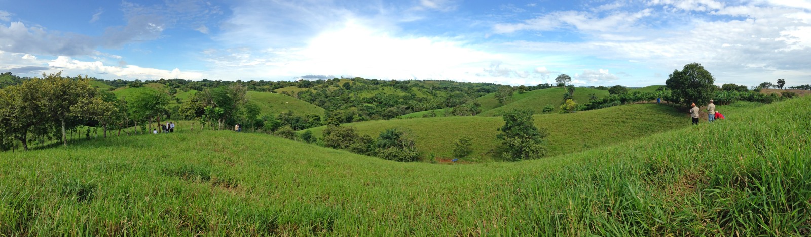 ELTI landscape panorama hero image