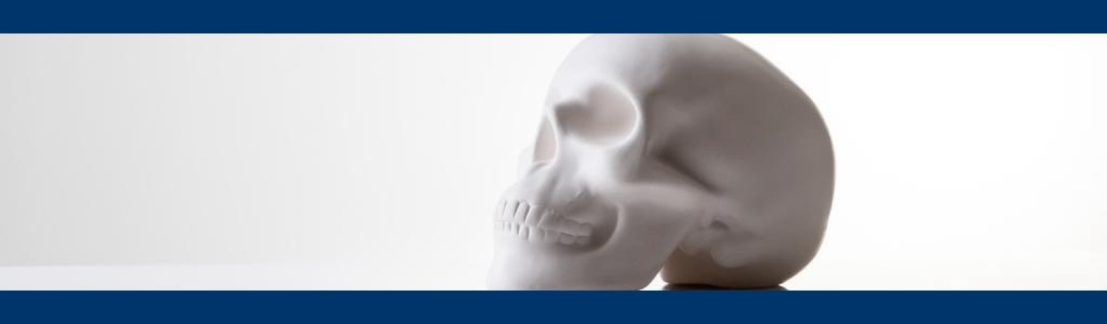 Image of a skull