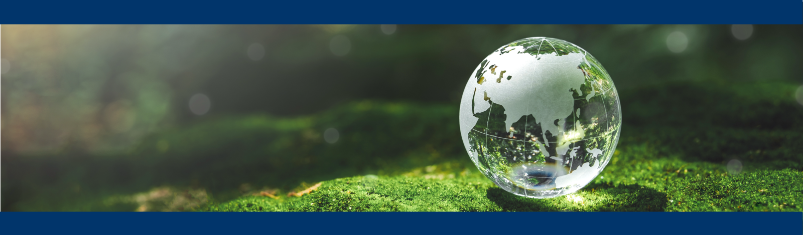 Glass Globe on Grass