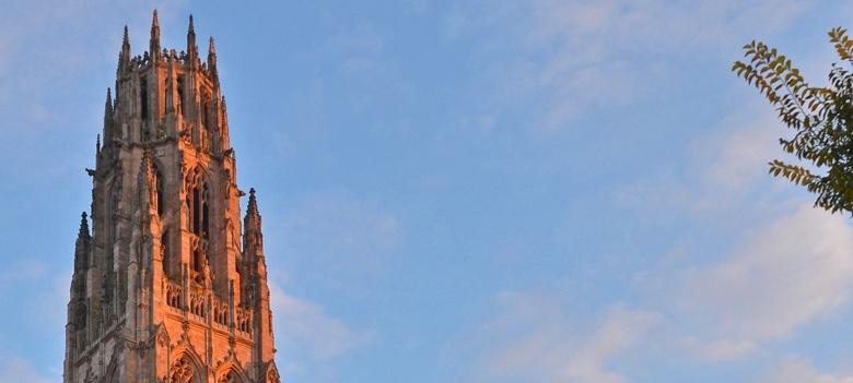 Building spire and tree