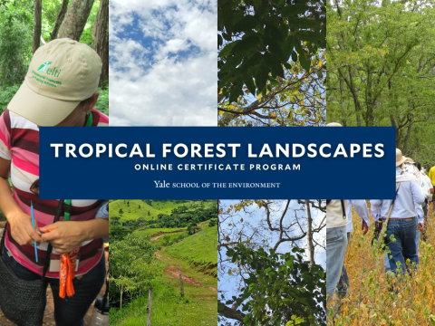 Tropical Forest Landscapes Course Cover 