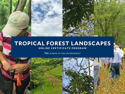 Tropical Forest Landscapes Course Cover